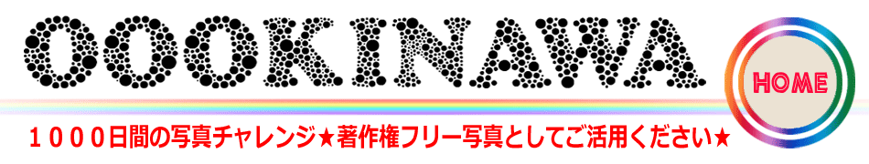 沖縄から発信する沖縄と東京と世界の写真をポストカードやポスターにしてお届けする花都誉のホームページへ戻る