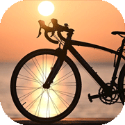 世界の自転車
