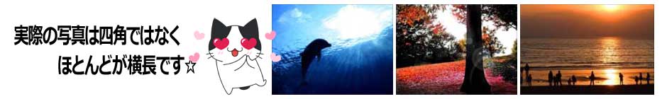 写真の形は真四角ではなく、ほとんどが横長です
