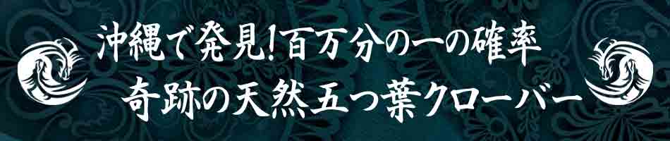 100万分の1の奇跡！天然の五つ葉クローバー♪