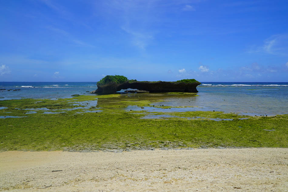 渡具知の仲龍宮