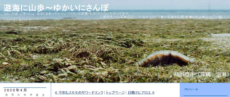 大嶺海岸の龍宮神