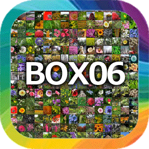 高画質写真集のサムネイル６