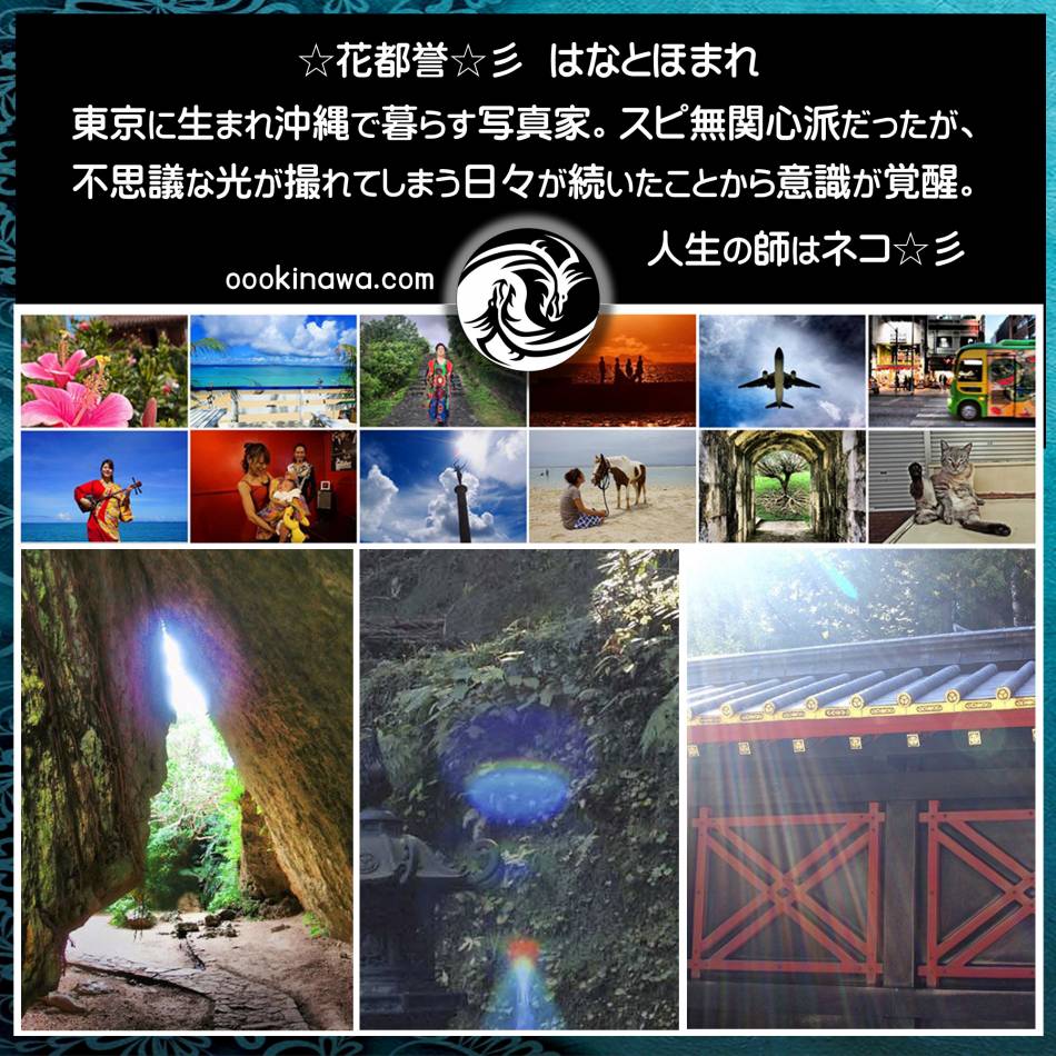 HANATO HOMARE 花都誉のプロフィール概要