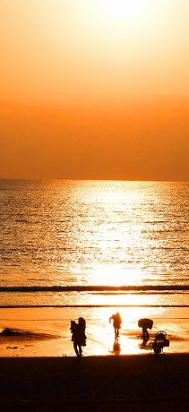 湘南海岸からの夕陽 iPhone16/Android待受け、縦横比19.5×9