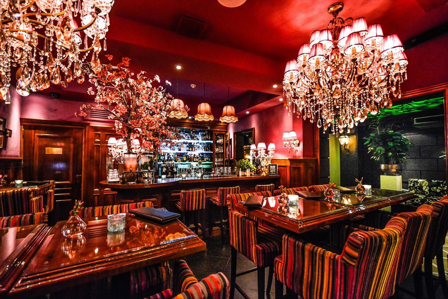 バーやレストラン及び食べ物のポストカードやポスター用の写真です|著作権フリー