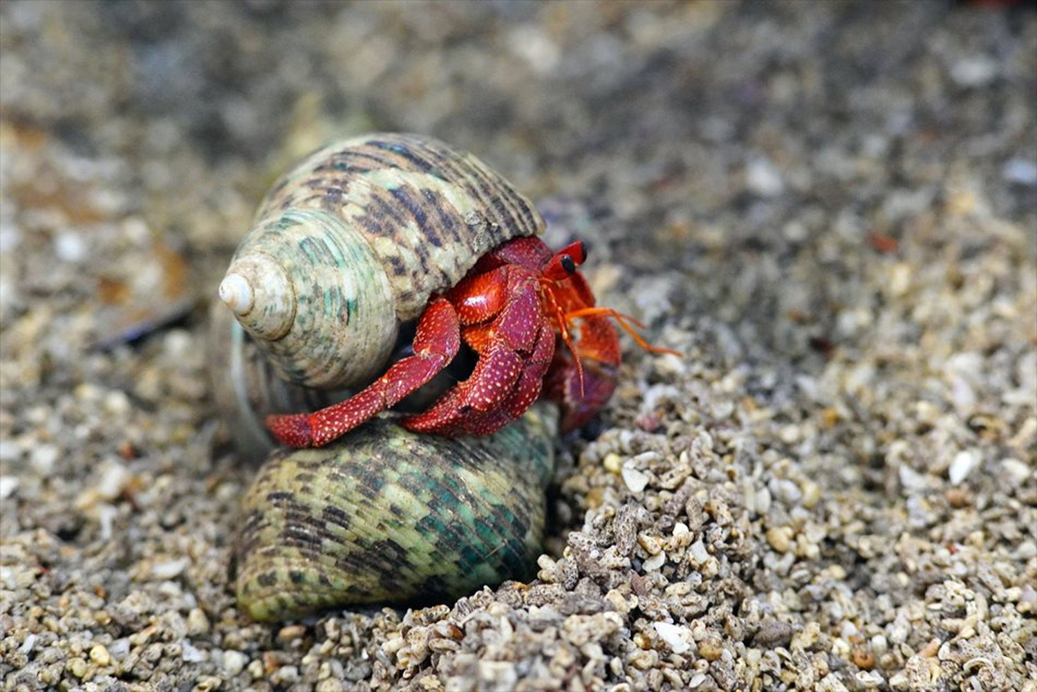 世界のビーチのポストカードやポスター用の写真です|著作権フリー