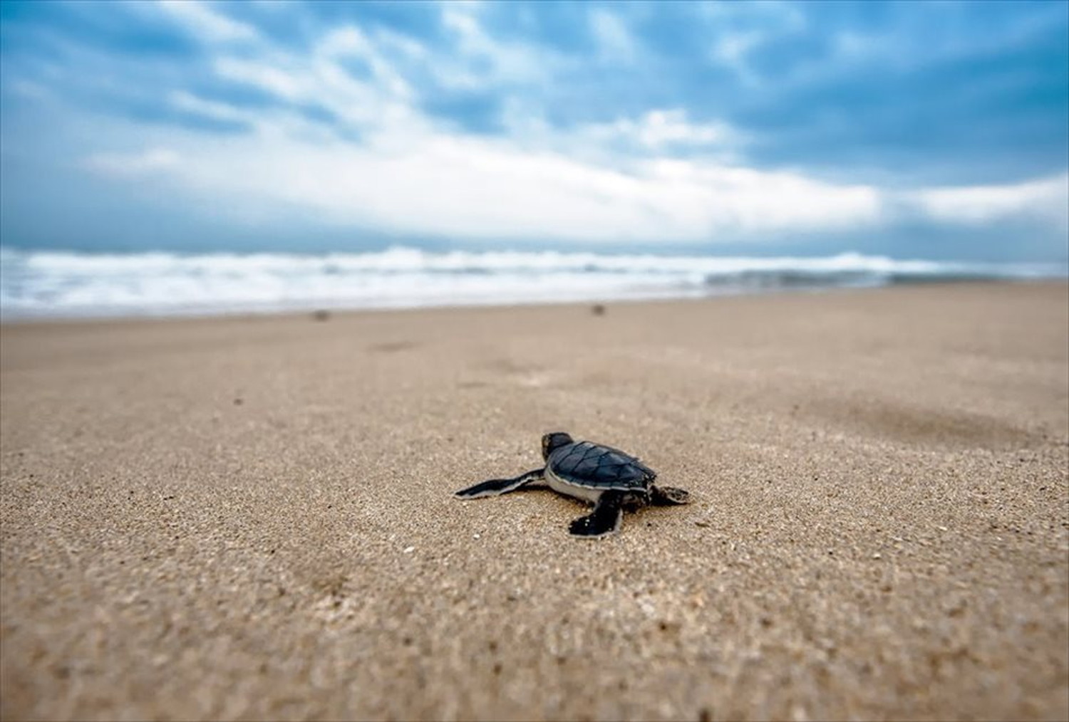 世界のビーチのポストカードやポスター用の写真です|著作権フリー