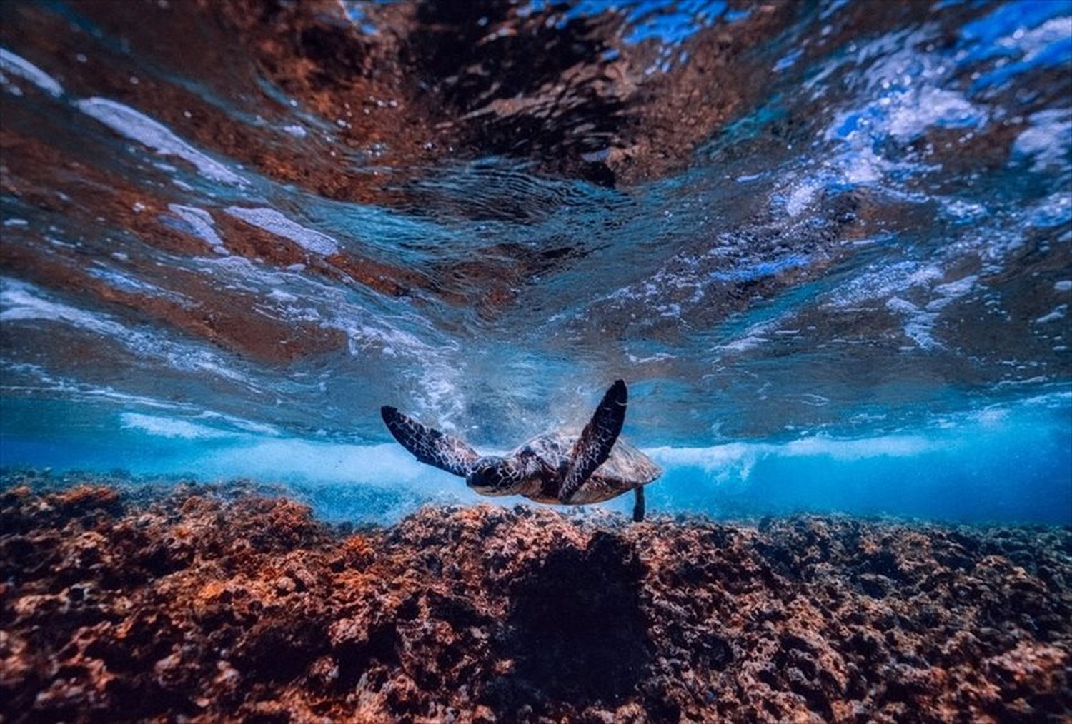 世界のビーチのポストカードやポスター用の写真です|著作権フリー