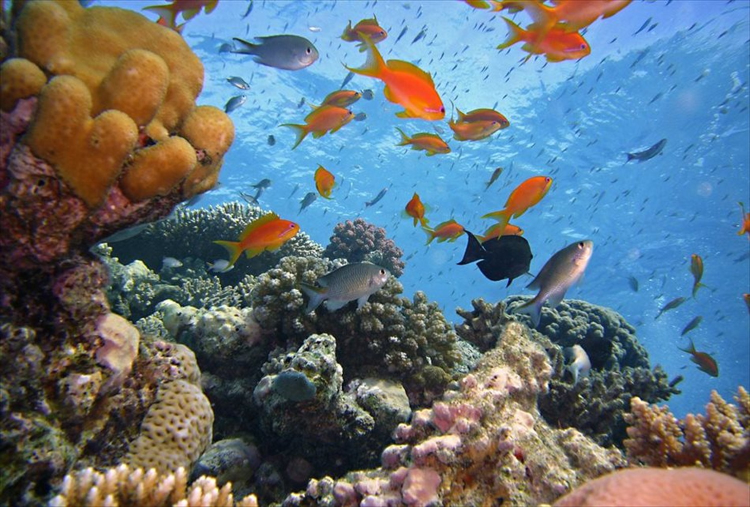 世界のビーチのポストカードやポスター用の写真です|著作権フリー