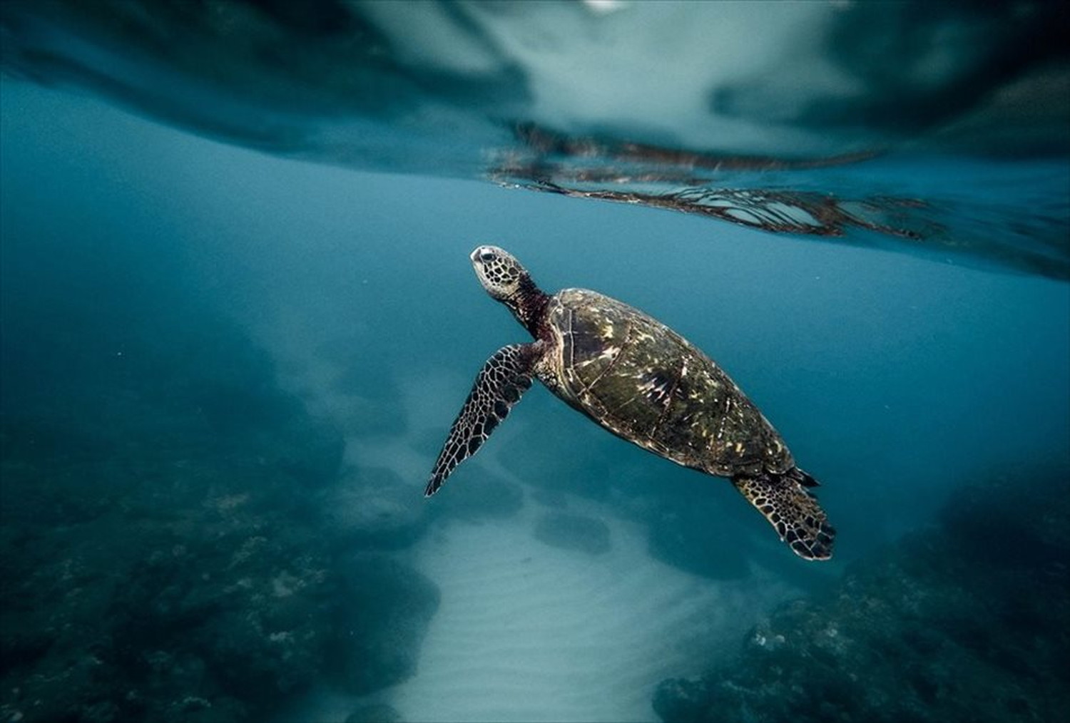 世界のビーチのポストカードやポスター用の写真です|著作権フリー