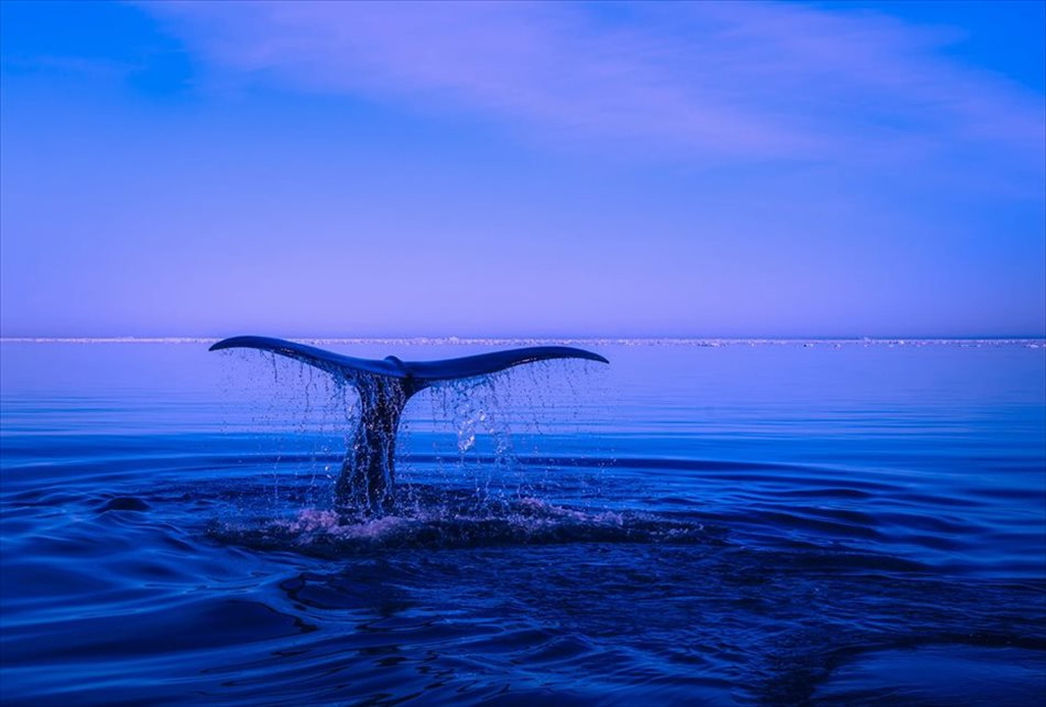 世界のビーチのポストカードやポスター用の写真です|著作権フリー