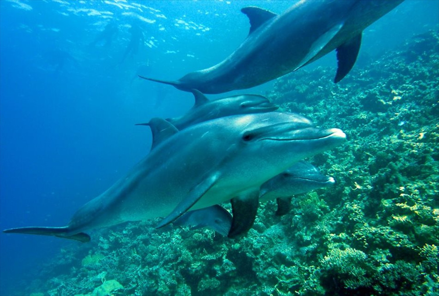 世界のビーチのポストカードやポスター用の写真です|著作権フリー