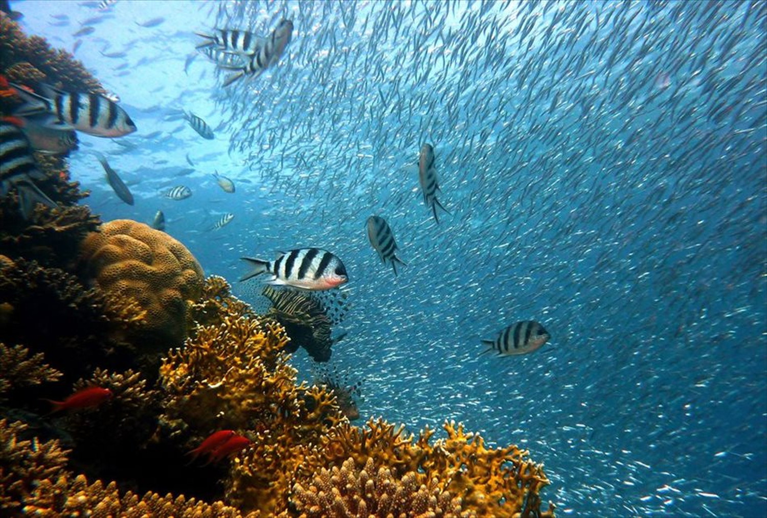 世界のビーチのポストカードやポスター用の写真です|著作権フリー