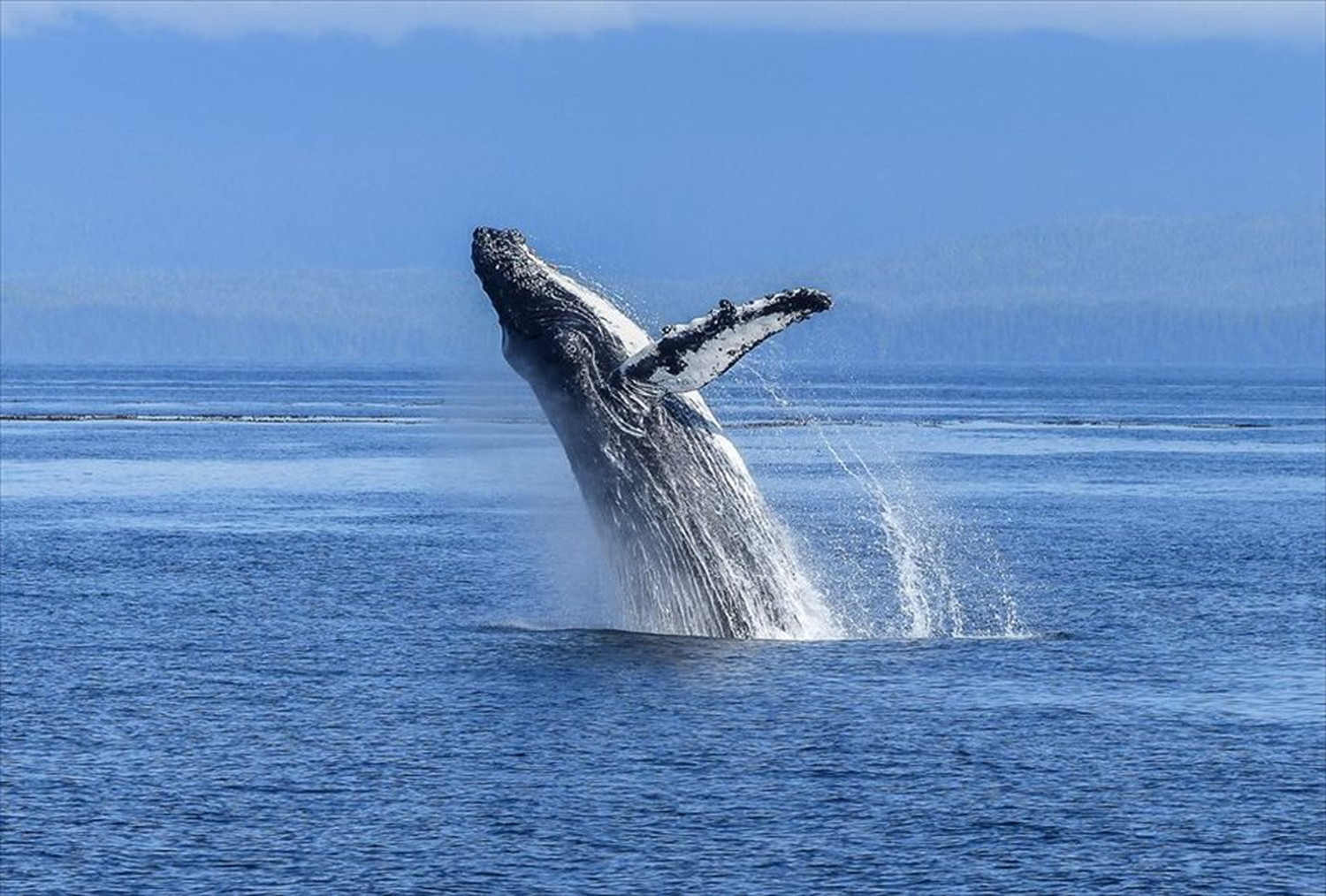 世界のビーチのポストカードやポスター用の写真です|著作権フリー