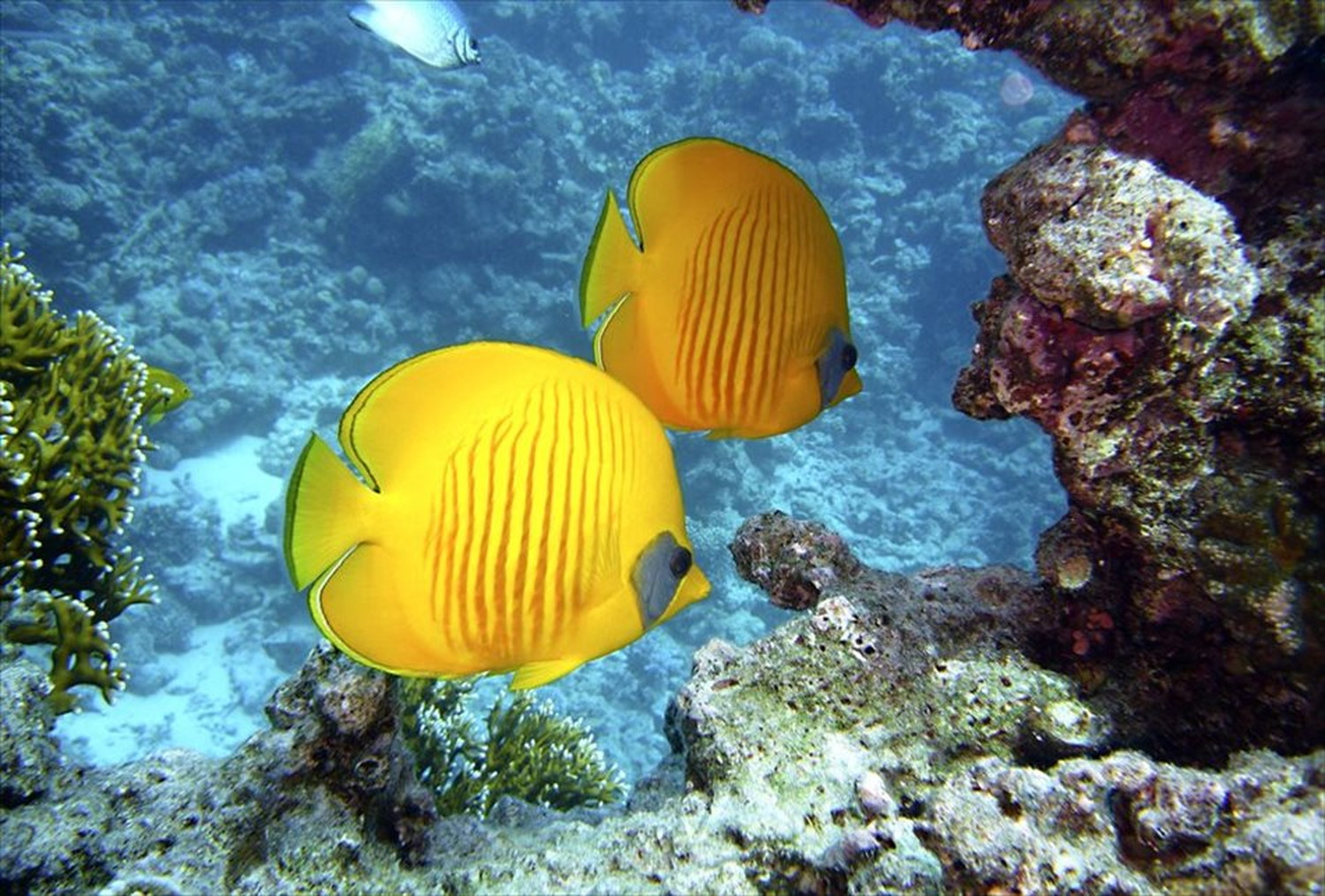 世界のビーチのポストカードやポスター用の写真です|著作権フリー