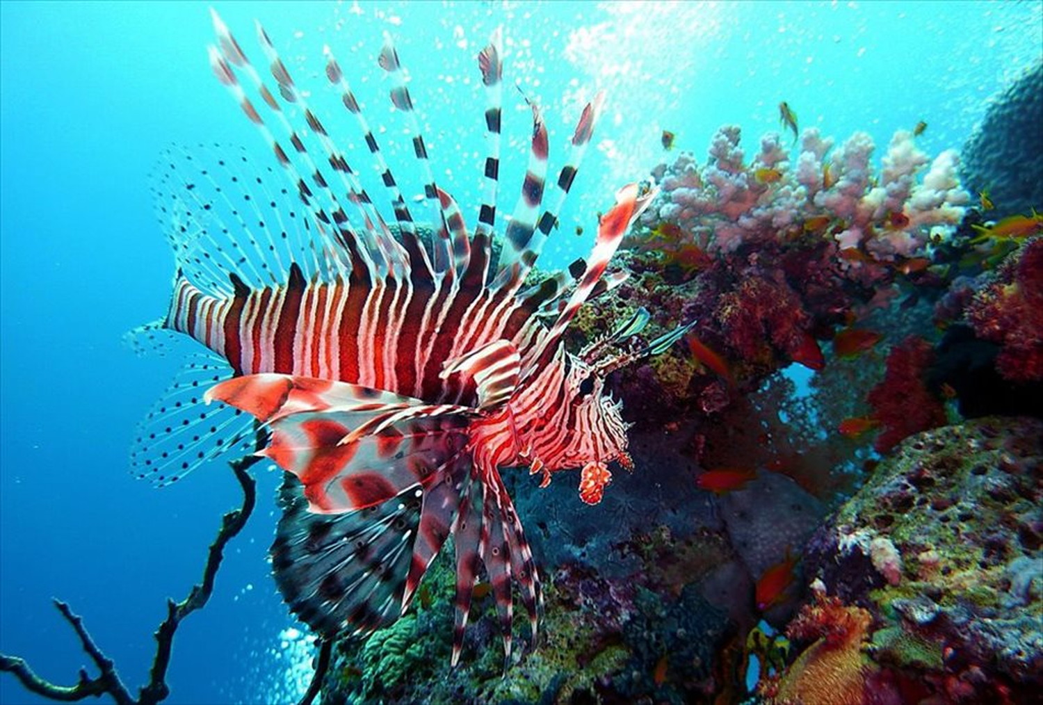 世界のビーチのポストカードやポスター用の写真です|著作権フリー