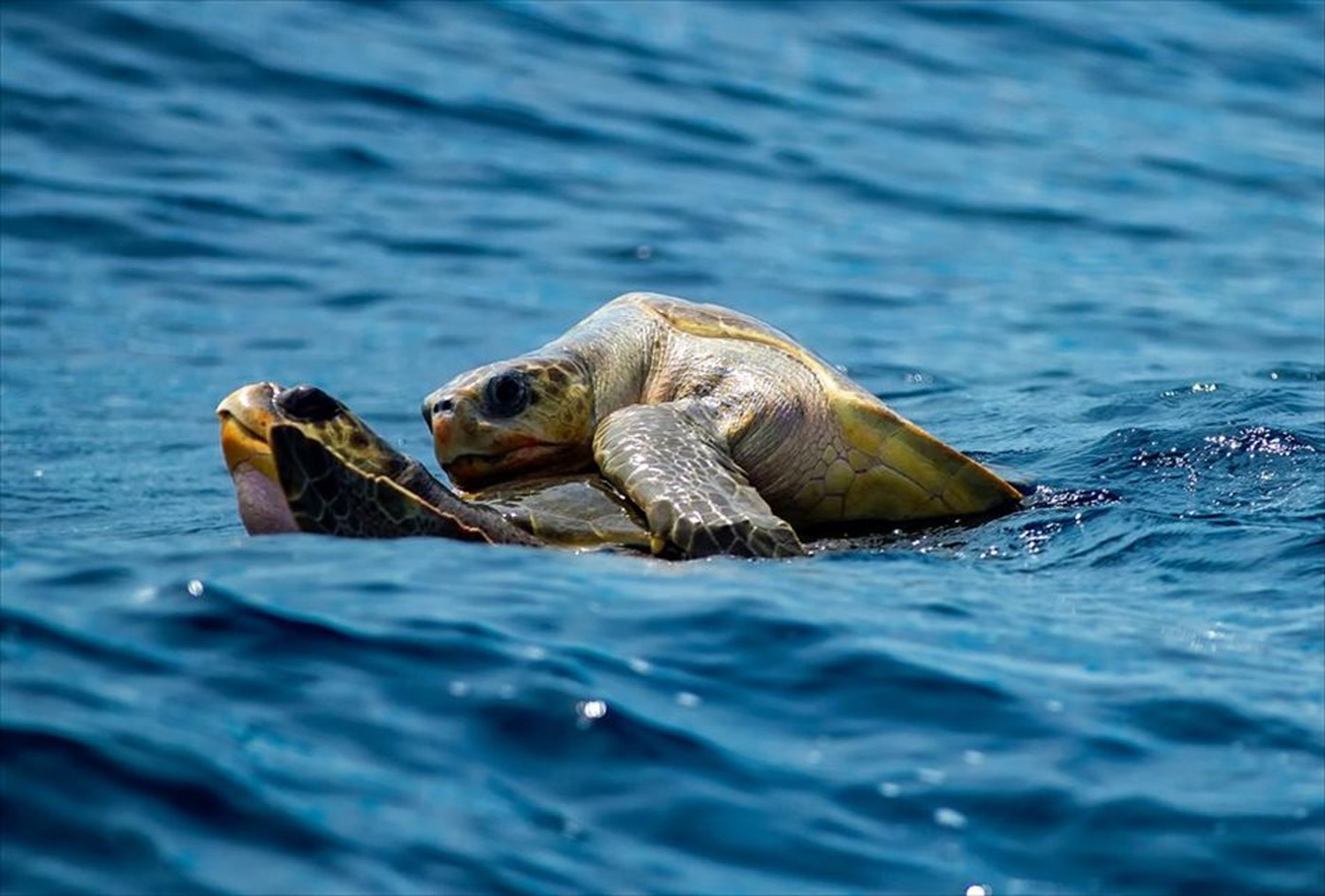 世界のビーチのポストカードやポスター用の写真です|著作権フリー