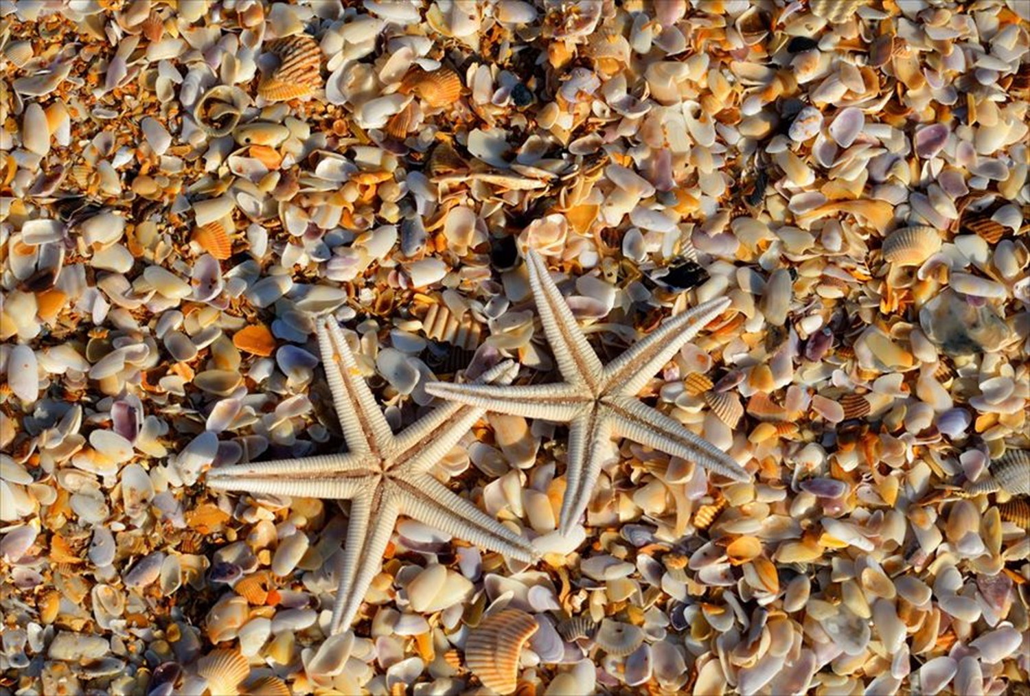 世界のビーチのポストカードやポスター用の写真です|著作権フリー