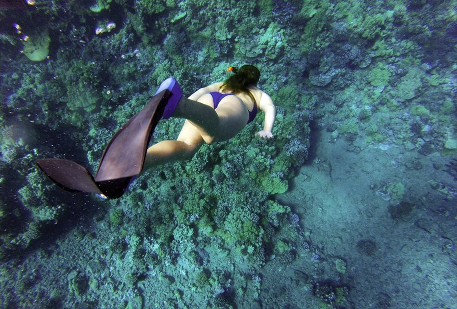 世界のビーチのポストカードやポスター用の写真です|著作権フリー