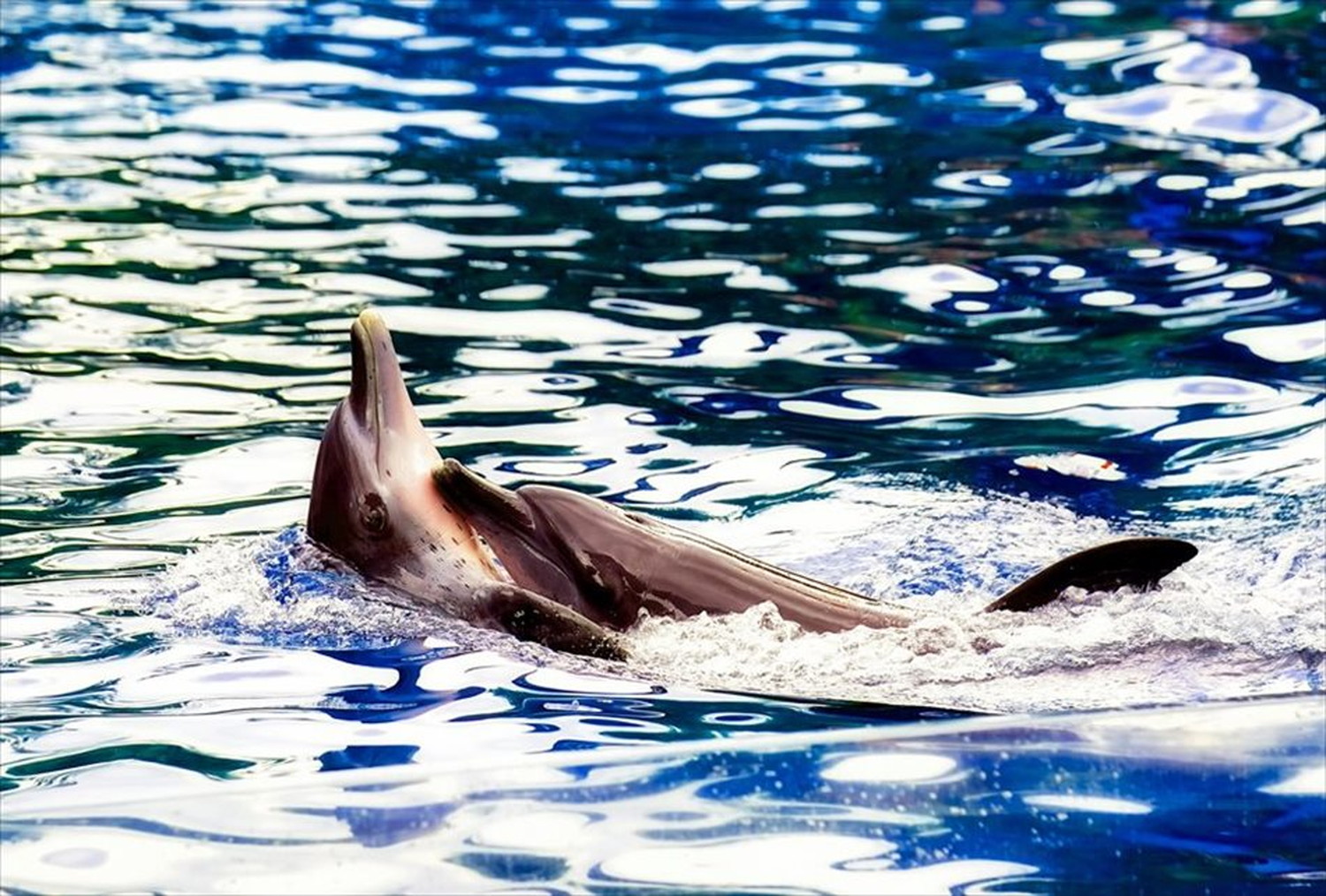 世界のビーチのポストカードやポスター用の写真です|著作権フリー