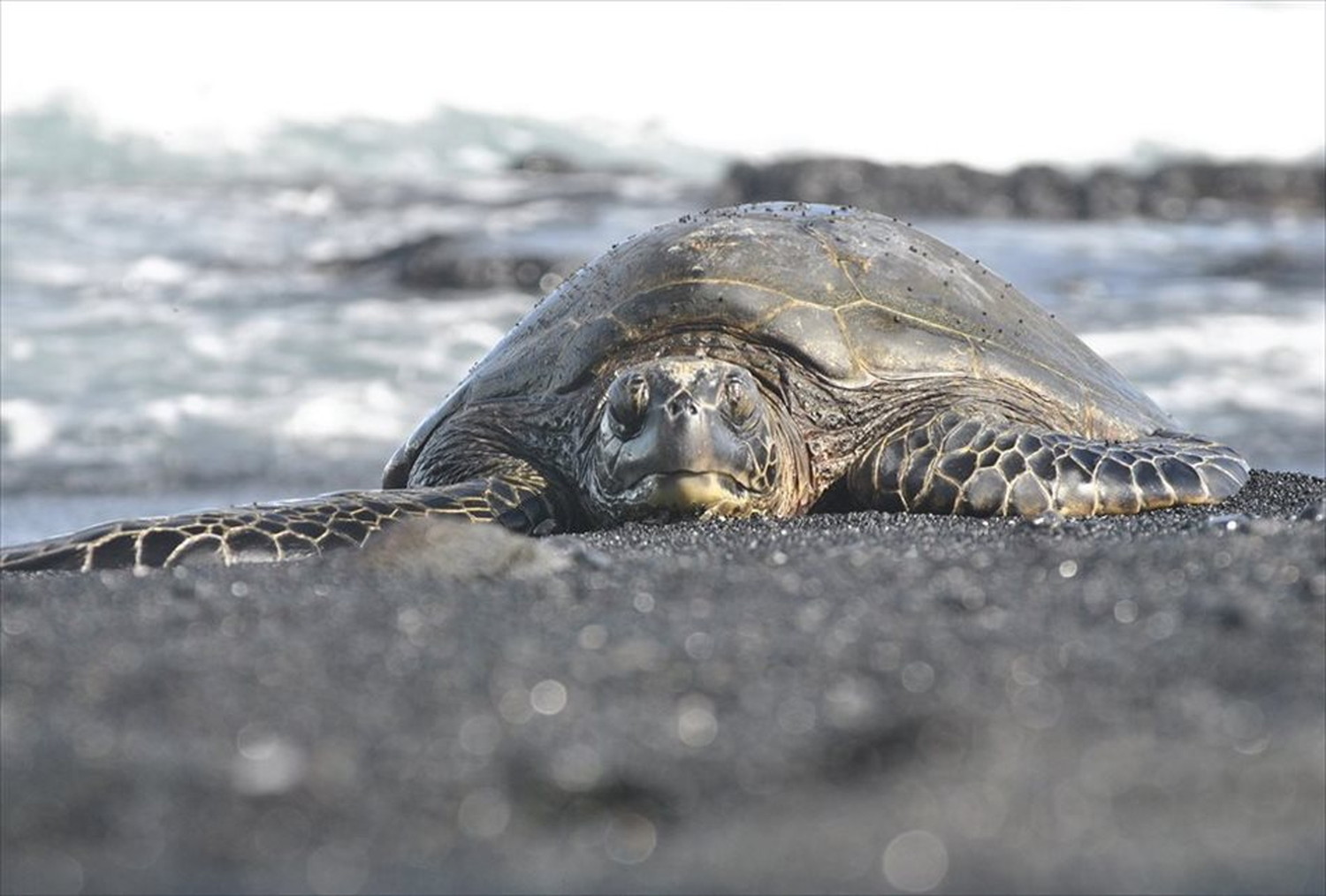 世界のビーチのポストカードやポスター用の写真です|著作権フリー