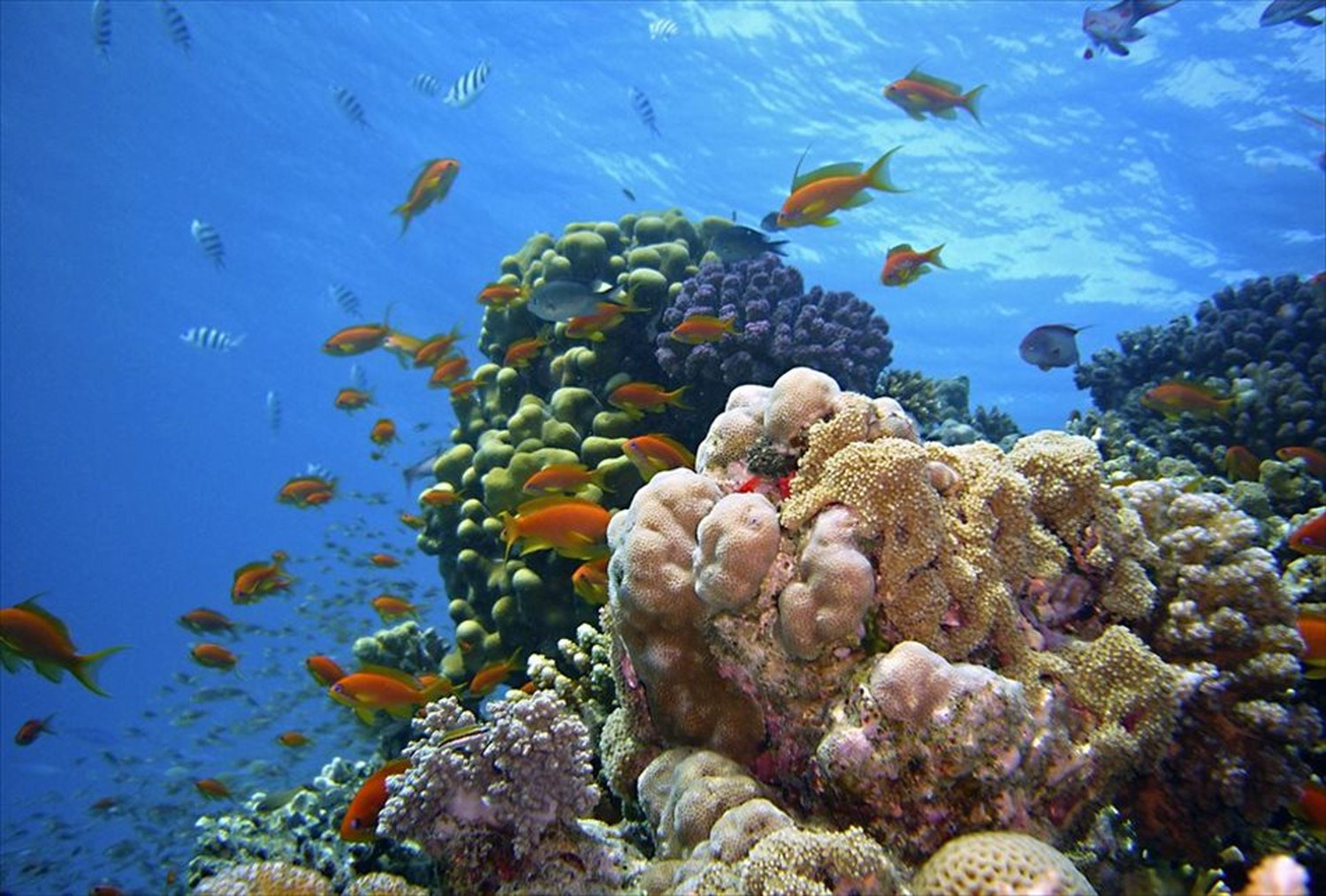 世界のビーチのポストカードやポスター用の写真です|著作権フリー