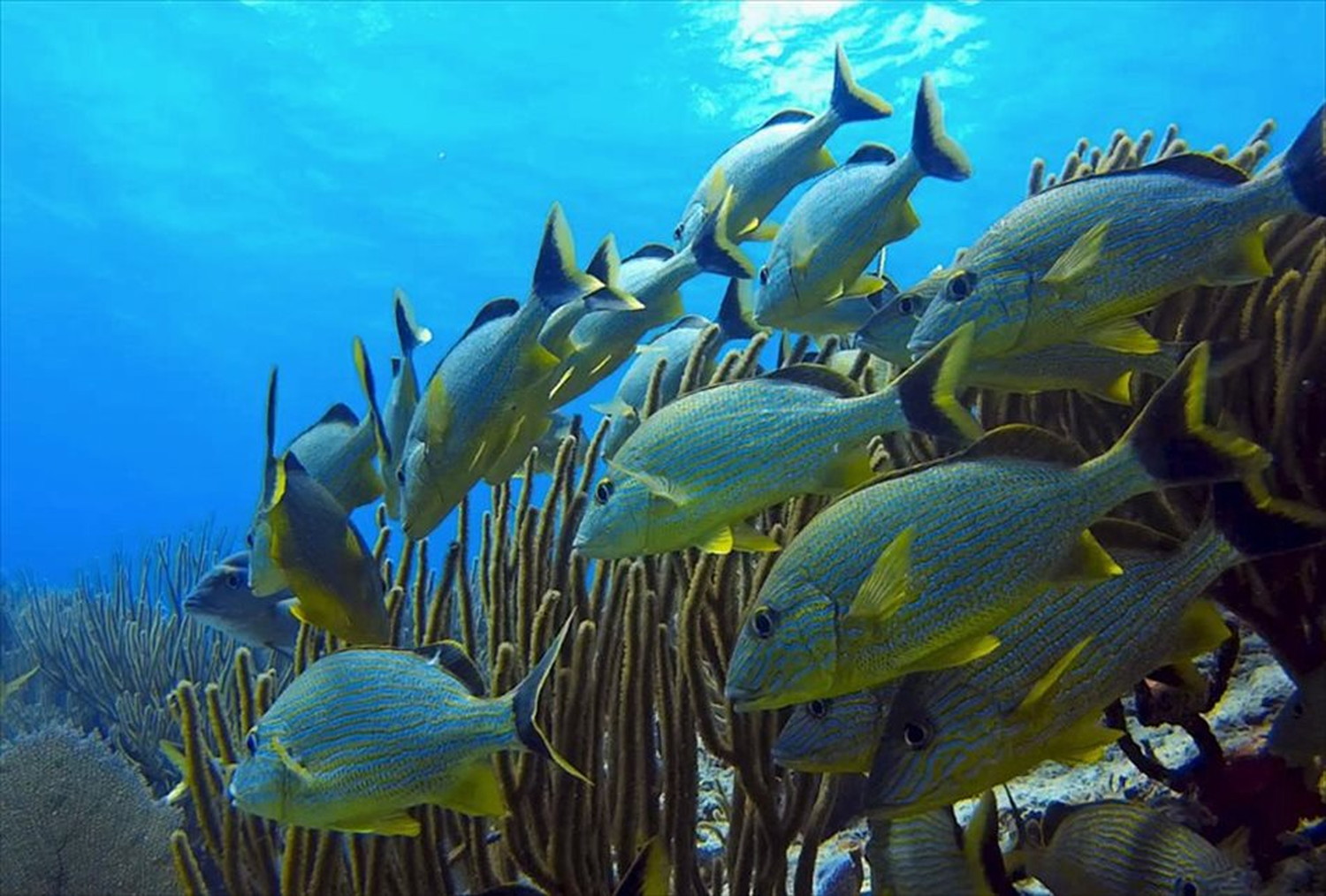 世界のビーチのポストカードやポスター用の写真です|著作権フリー