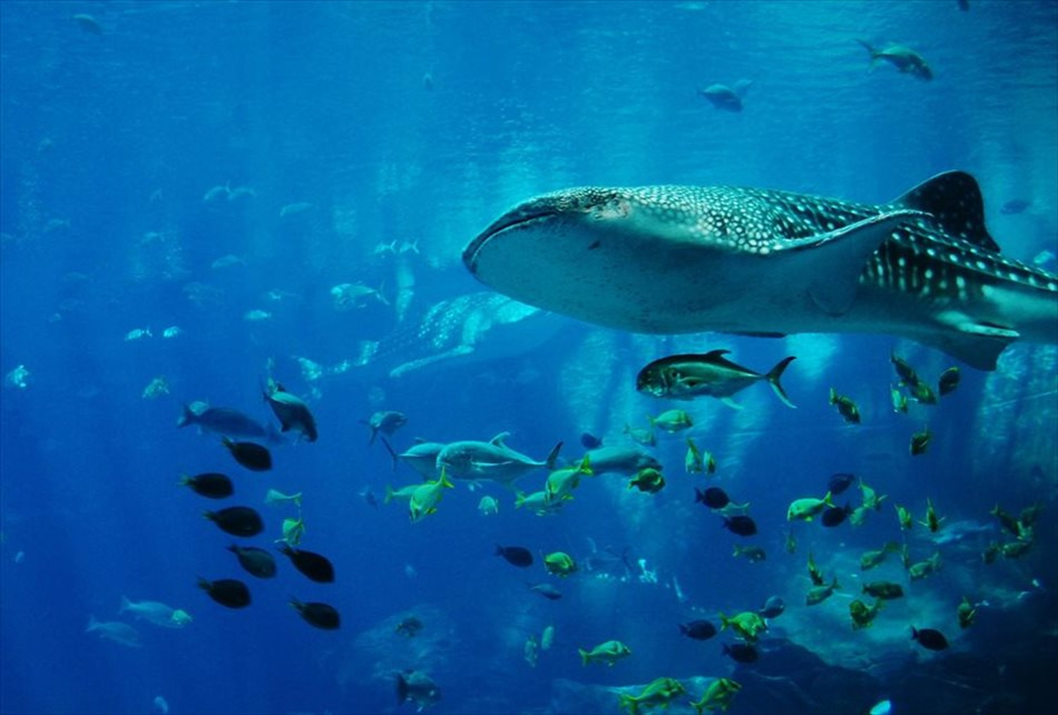 世界のビーチのポストカードやポスター用の写真です|著作権フリー